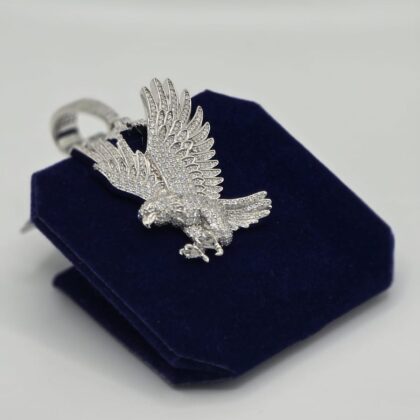 The Soaring Eagle