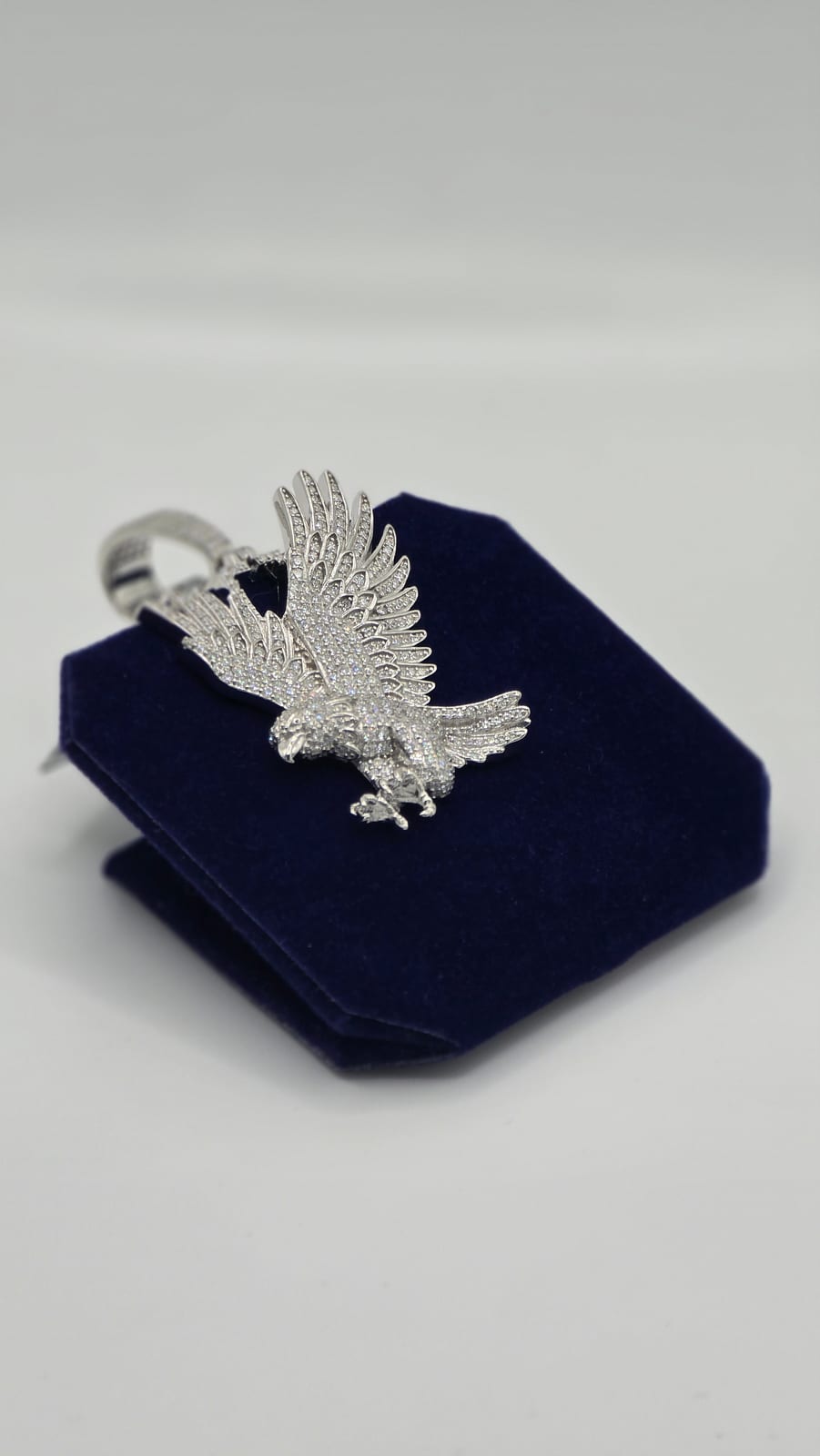 The Soaring Eagle
