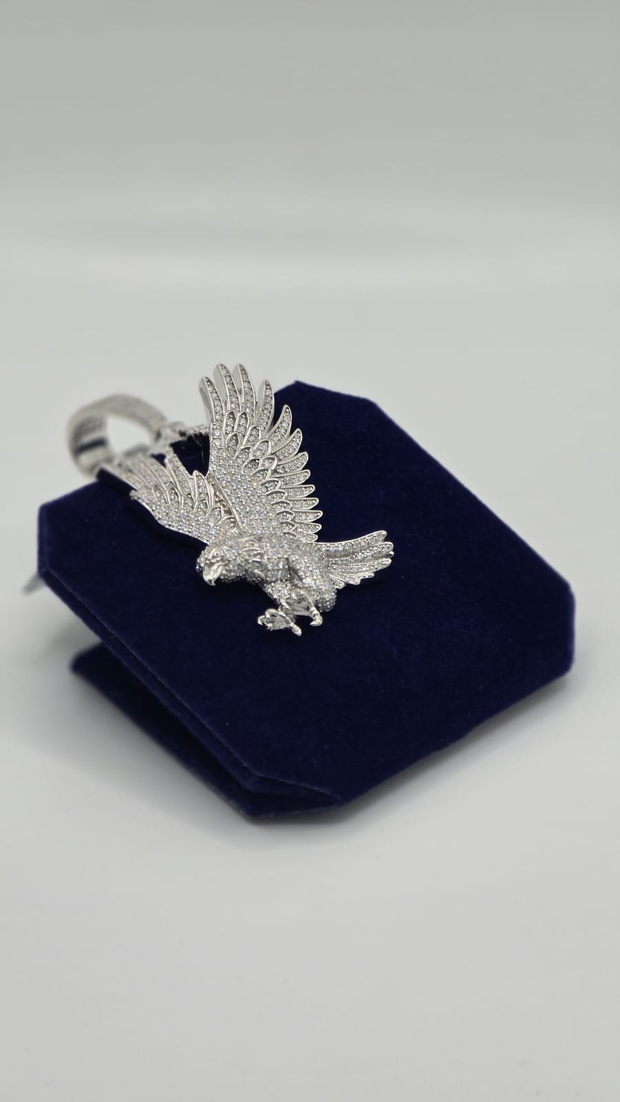 The Soaring Eagle - Image 2