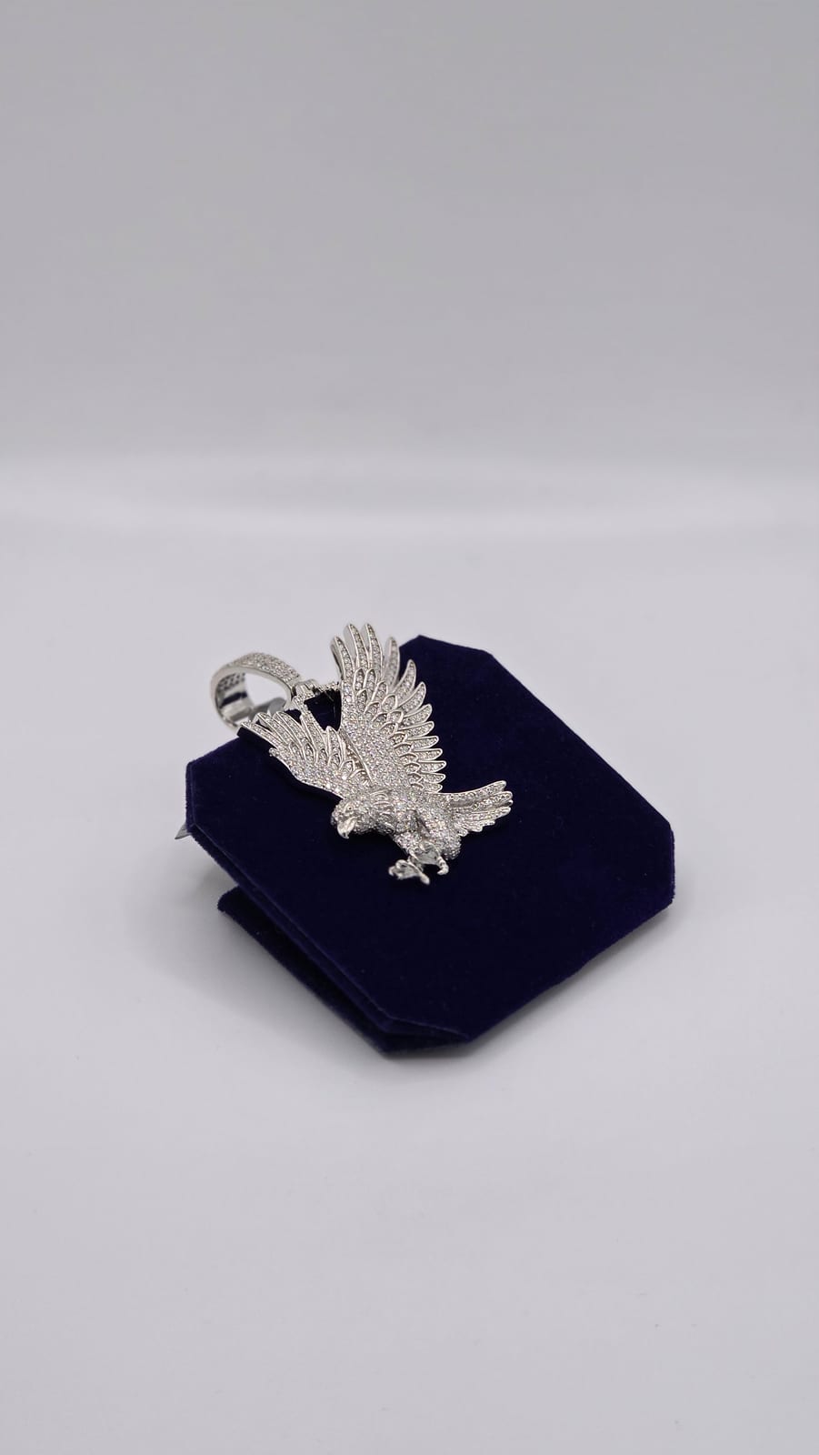 The Soaring Eagle - Image 3