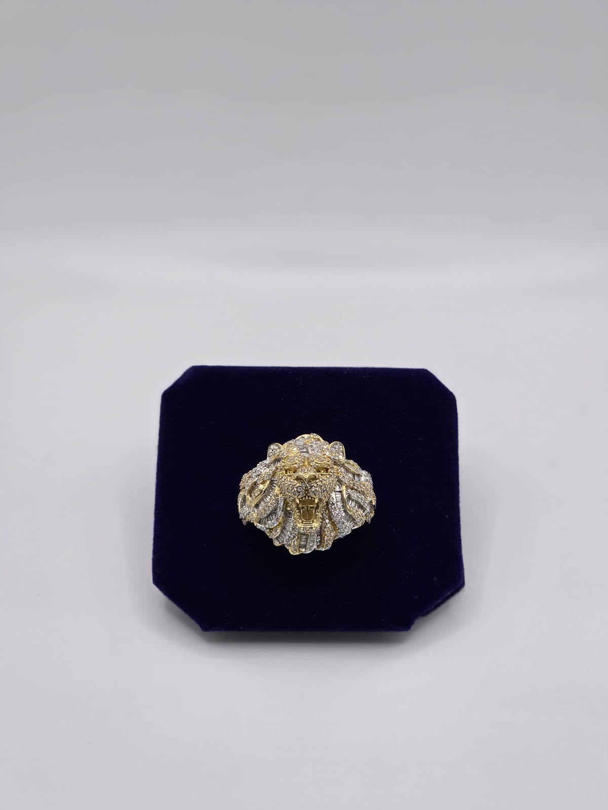 The Lionheart - Image 2