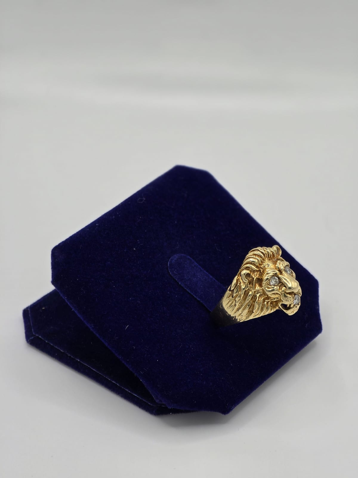 The Pride - Image 3